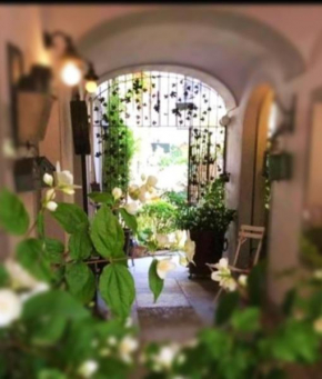 La Casa sul Giardino- GARDEN HOUSE Novi Ligure